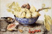 Giovanna Garzoni Chinese Cup with Figs,Cherries and Goldfinch oil painting artist
